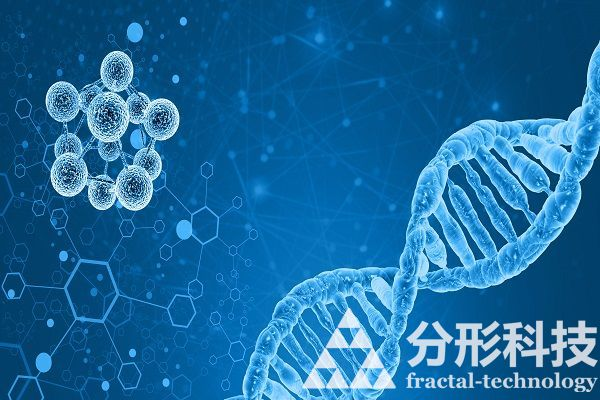 醫(yī)院網站建設：打造有溫度的醫(yī)患情感連接器